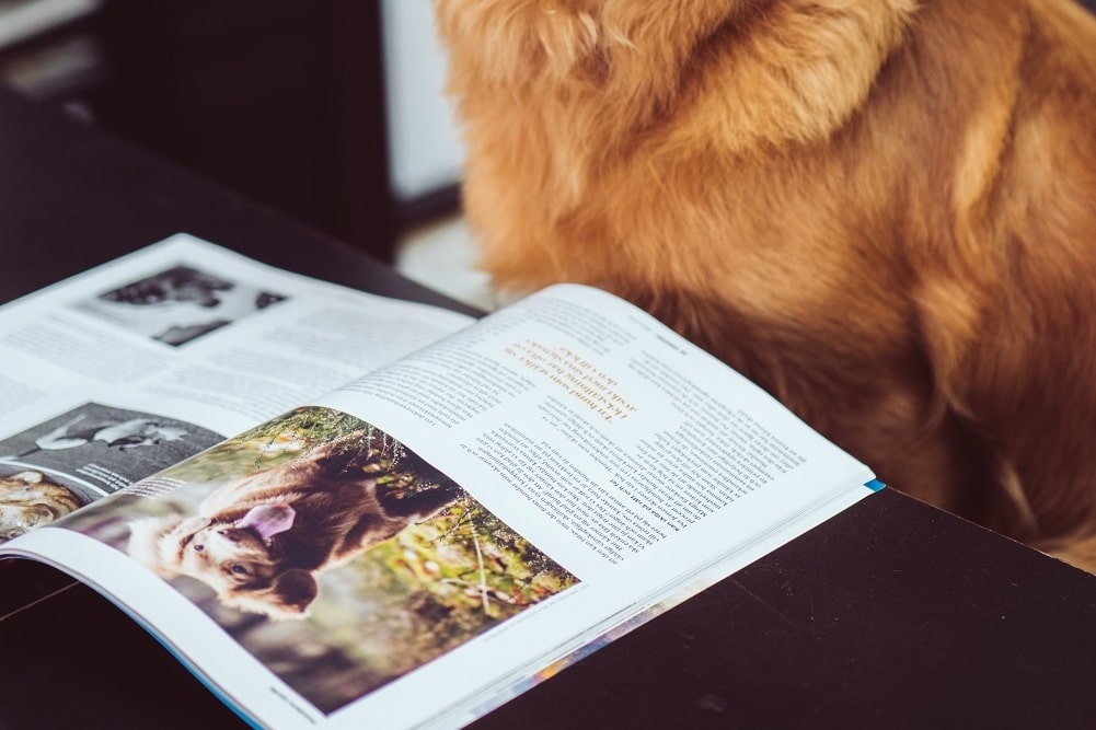 libro sobre animales en una mesa